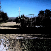 Hillsborough Toll ／／ DMT-083