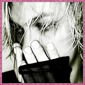 days before NIKITA ZVEREV