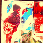 No pierdas a mi gato