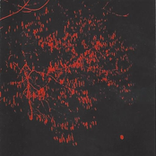 Au Travers Des Branches Pour L'éternité