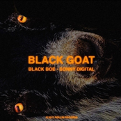 Black Boe: The Black Goat