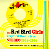The Red Bird Girls: Very First Time In True Stereo 1964-1966