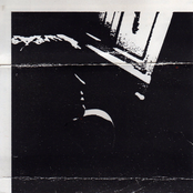 Insane Music For Insane People Vol. 4