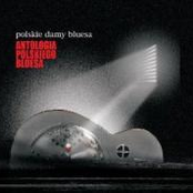 Antologia polskiego bluesa - Polskie damy bluesa
