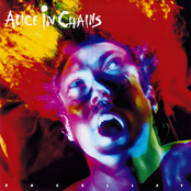 Alice in Chains: Facelift