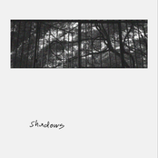 Shadows