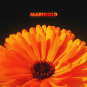 Alex Isley: Marigold