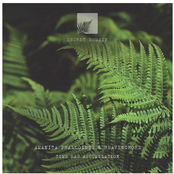 Time Lag Accumulation