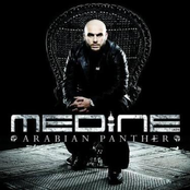 MEDINE: Arabian Panther
