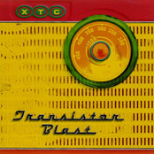 Transistor Blast: The Best of the BBC Sessions