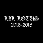 Lil Lotus: 2016 - 2018