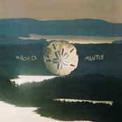 Orchid Mantis: holograph tapes vol. 1