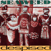 Selfish by Seaweed