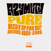 pure: best of far out years 1995-2006