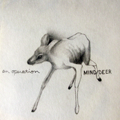 Mind/Deer
