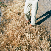 From A Car in Los Angeles