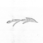 Demo 2