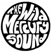 the wild mercury sound