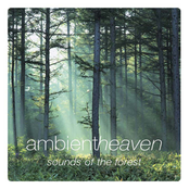 Ambient Heaven - Sounds Of The Forest
