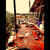 How Very Much I've Loved You