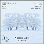 Winter Vibes II