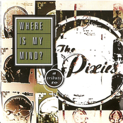 Where Is My Mind? - A Tribute To The Pixies