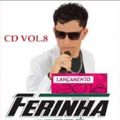 Ferinha do Forró, Vol. 8