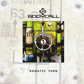 Somatic Turn