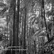 Sadness Out in the Heart of Natural Depths