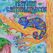 Matices Catmaleonicos