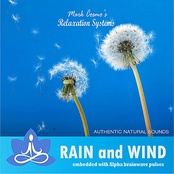 Relaxation Systems (Nature Sounds): Rain and Wind
