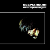 Rattlesnake by Reeperbahn