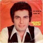 Mehmet Pekün