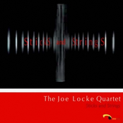 Joe Locke Quartet: Sticks And Strings