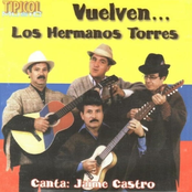 Vuelven…
