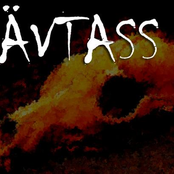 Rävtass