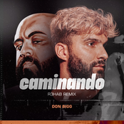 Don Bigg: Caminando (R3HAB Remix)