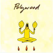 Polywood