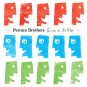 Microscopic View by Pernice Brothers