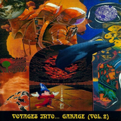 Voyages Into... Garage Vol. 2
