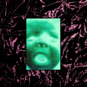 Longing for Scarlet Days