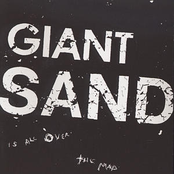 Nyc Of Time by Giant Sand