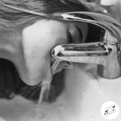 Kitsuné Hot Stream: Bird