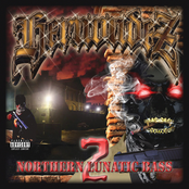 NORTHERN LUNATIC BASS VOL .2