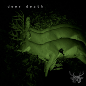 Next Death