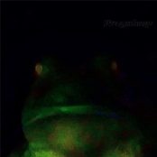 Realmtemple of all Frog Thought