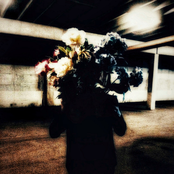 The Sad Saint of South End