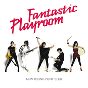 Hiding On The Staircase by New Young Pony Club