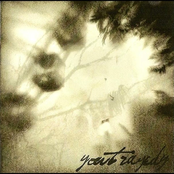 S/T Demo (Youtradegy)