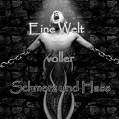 Die Hasswelt (Limited Disc)